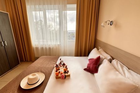 Полулюкс 2-местный (с балконом, вид на море)